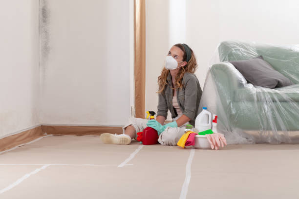 Reliable Mold Remediation contractor in Hempstead, NY by WQB Mold Removal